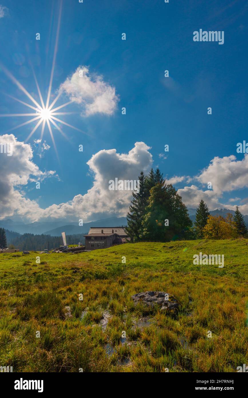 Winklmoosalm oder Winklmoosalm, Hochplateau 1170m ASL, Reit im Winkl, Chiemgau, Oberbayern, Bayrischen Alpen, Süddeutschland, Europa Stockfoto