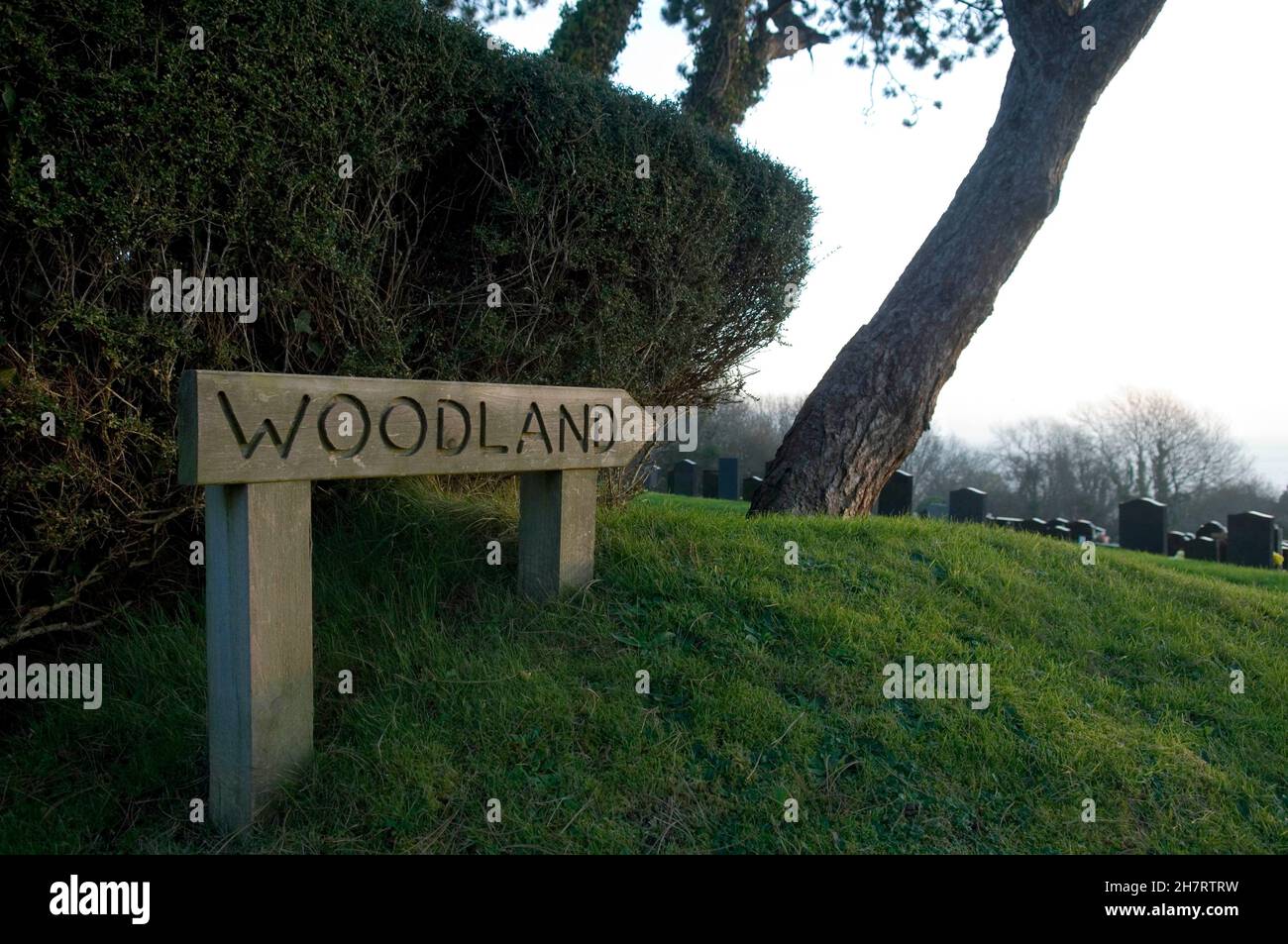 Waldbegrabungsstätte Schild. Stockfoto