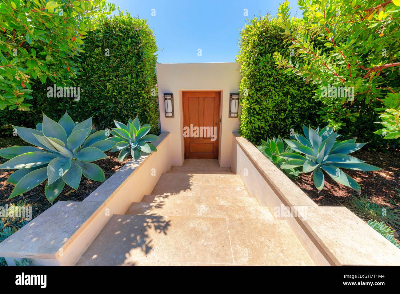 Unten Eingang mit Marmorfliesen und Holztür in La Jolla, Kalifornien. Moderne Residenz mit Rosettenpflanzen und Sträuchern auf beiden Seiten des Do Stockfoto