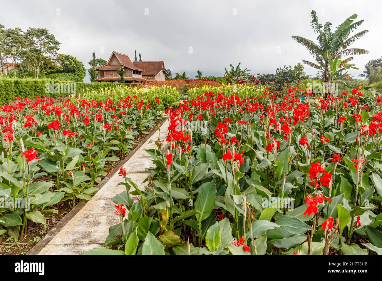 Blumenpark in Bedugul, Tabanan, Bali, Indonesien. Stockfoto
