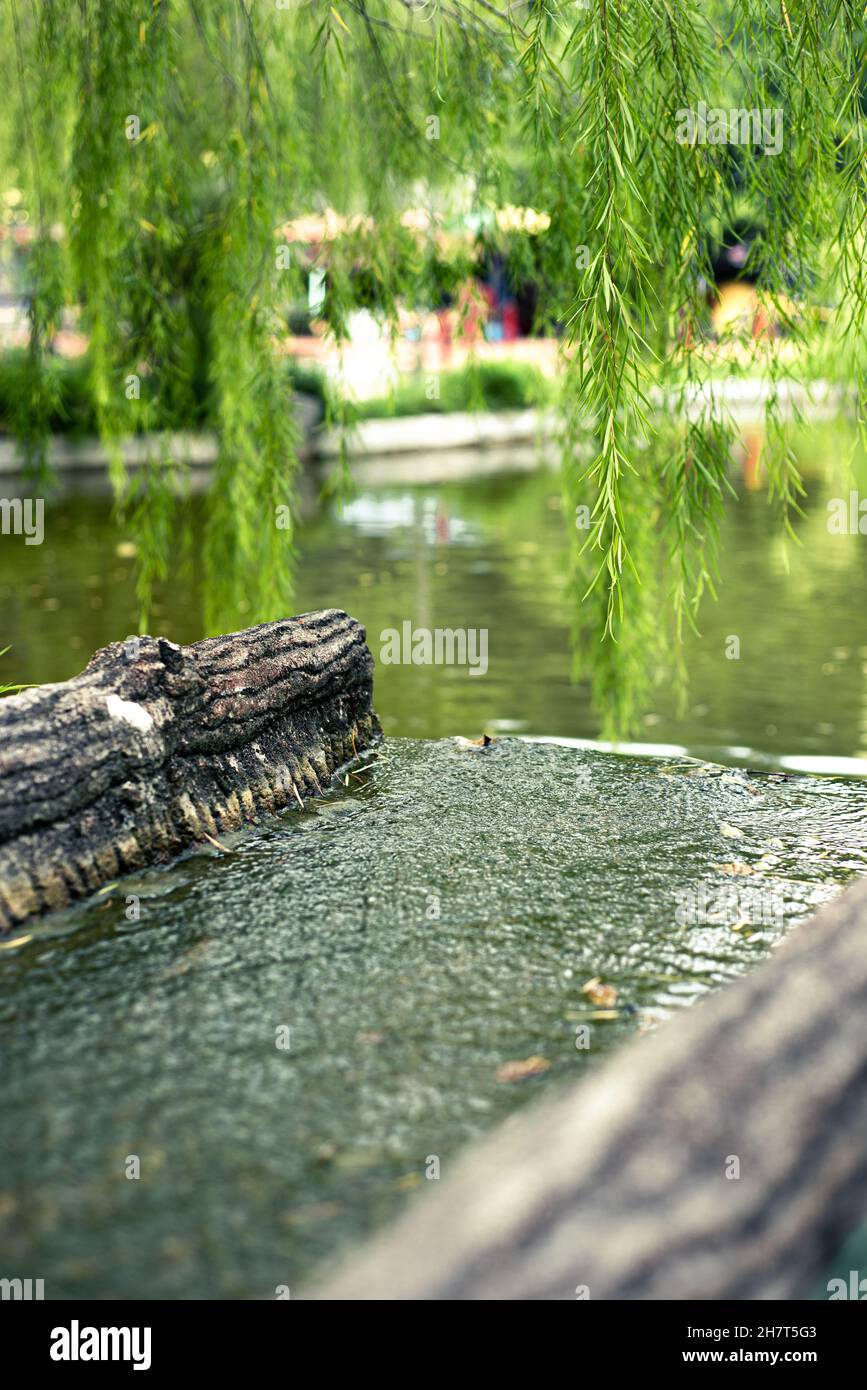 Blick auf den Teich des Buddhistischen Tempels auf der Insel Pangkor in Malaysia. Buddhistische Tempel haben alle einen Teich, um Natur und Gleichgewicht zu kennzeichnen. Stockfoto