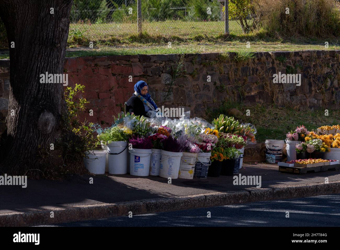 Ein Blumenhändler in der südafrikanischen Stadt Kapstadt Stockfoto