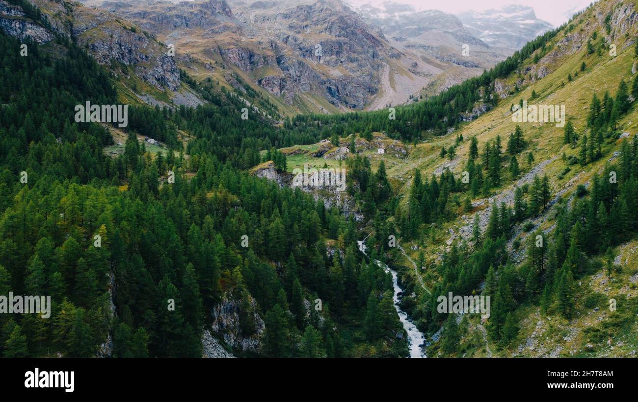Berglandschaft in Gressoney-Saint-Jean, einer Stadt im Aostatal im Nordwesten Italiens. Luftaufnahme des grünen Nadelwaldes, Berg Stockfoto