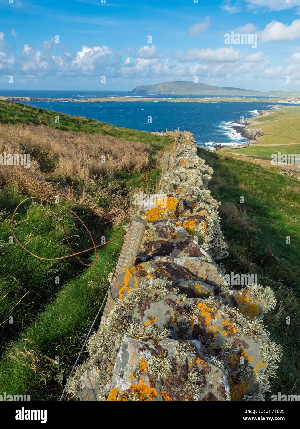 Blick nordwestlich von Sumburgh Head entlang einer Trockensteinmauer, über Quendale Bay in Richtung Fitful Head, Shetland Stockfoto