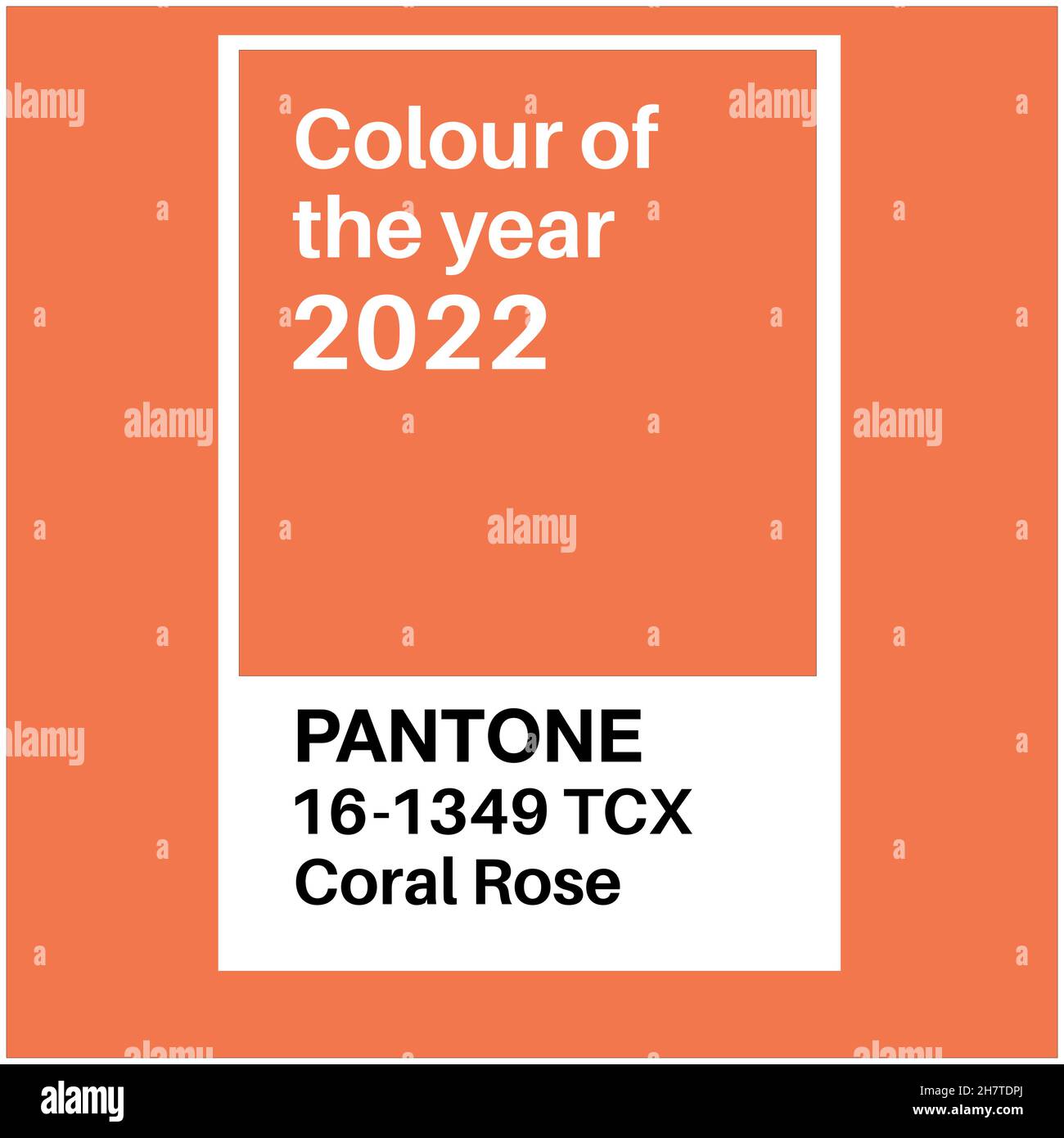 SWINDON, Großbritannien - 19. NOVEMBER 2021: Pantone Coral Rose Trending Color of the Year 2022. Farbmuster, Vektorgrafik Stock Vektor