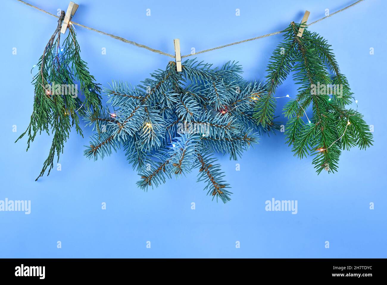 Wäscheklammern an einem Seil halten verschiedene Arten von Nadelbäumen Zweige auf einem blauen Hintergrund, kopieren Raum. Stockfoto