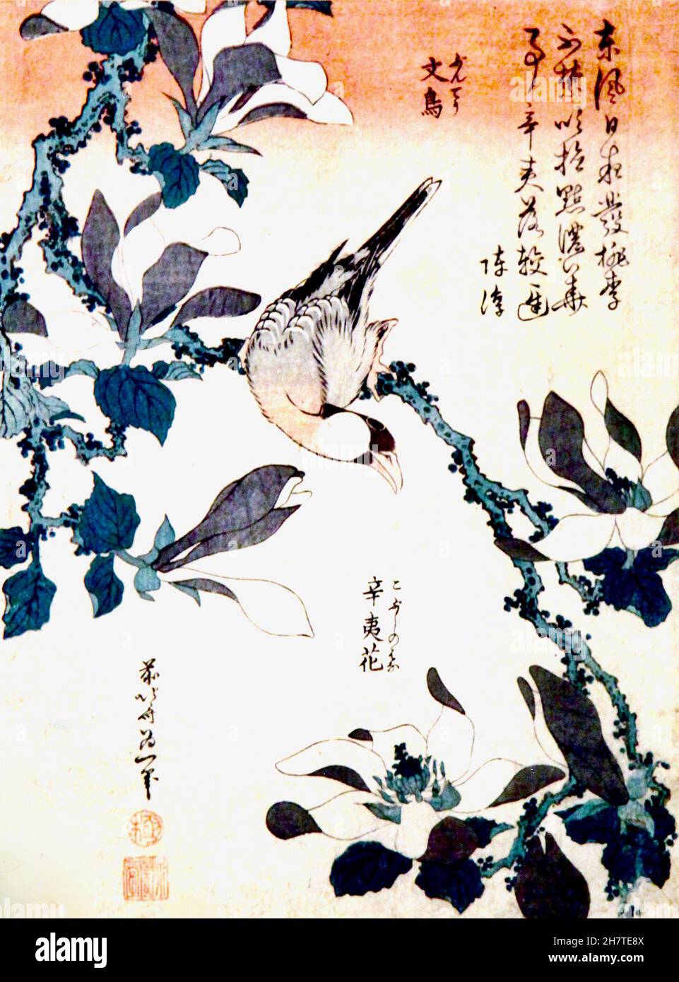 Hokusai - Sparrow und Magnolia Stockfoto