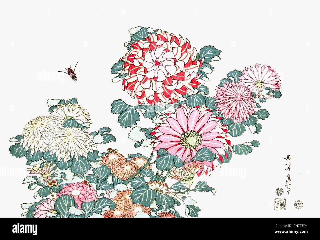 Hokusai - Chrysanthemen und Biene, aus einer unbetitelten Serie großer Blumen - um 1831-1833 Stockfoto