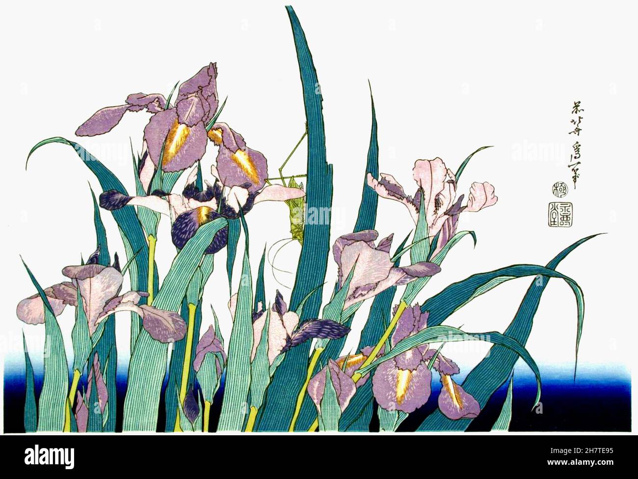 Hokusai - Irises mit Grasshopper Stockfoto