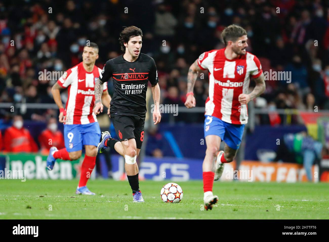 Madrid, Spanien. 24th. November 2021. Sandro Tonali aus Mailand während der UEFA Champions League, Gruppe B Fußballspiel zwischen Atletico de Madrid und AC Mailand am 24. November 2021 im Wanda Metropolitano Stadion in Madrid, Spanien - Foto: Oscar Barroso/DPPI/LiveMedia Kredit: Unabhängige Fotoagentur/Alamy Live News Stockfoto