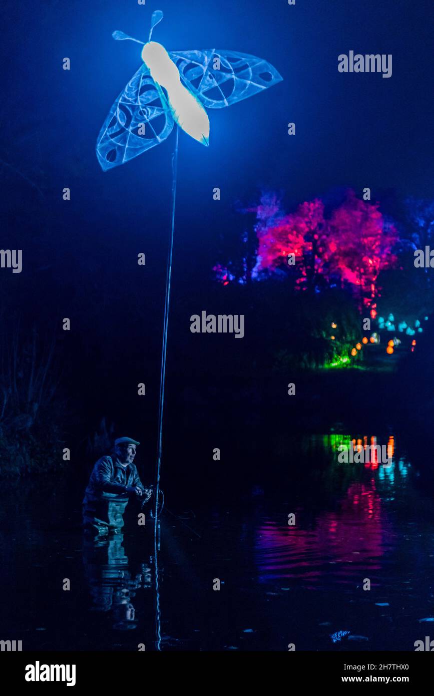 London, Großbritannien. 24th. November 2021. Letzte Vorbereitungen für die Motten im Teich - Glow Wild, ein Winterereignis, bei Kew Wakehurst. Es verfügt über neue Lichtinstallationen, über 300 handgefertigte Laternen und Großbritanniens höchsten lebenden Weihnachtsbaum. Kredit: Guy Bell/Alamy Live Nachrichten Stockfoto