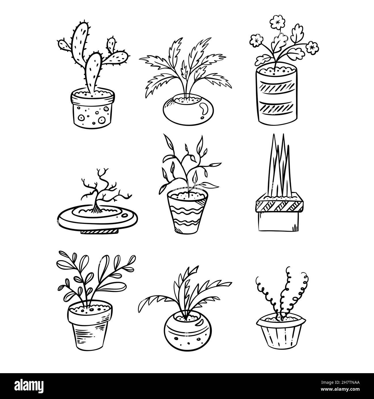 Vektordarstellung einer Blume in einen Topf setzen und handgezeichnet  zeichnen Stock-Vektorgrafik - Alamy