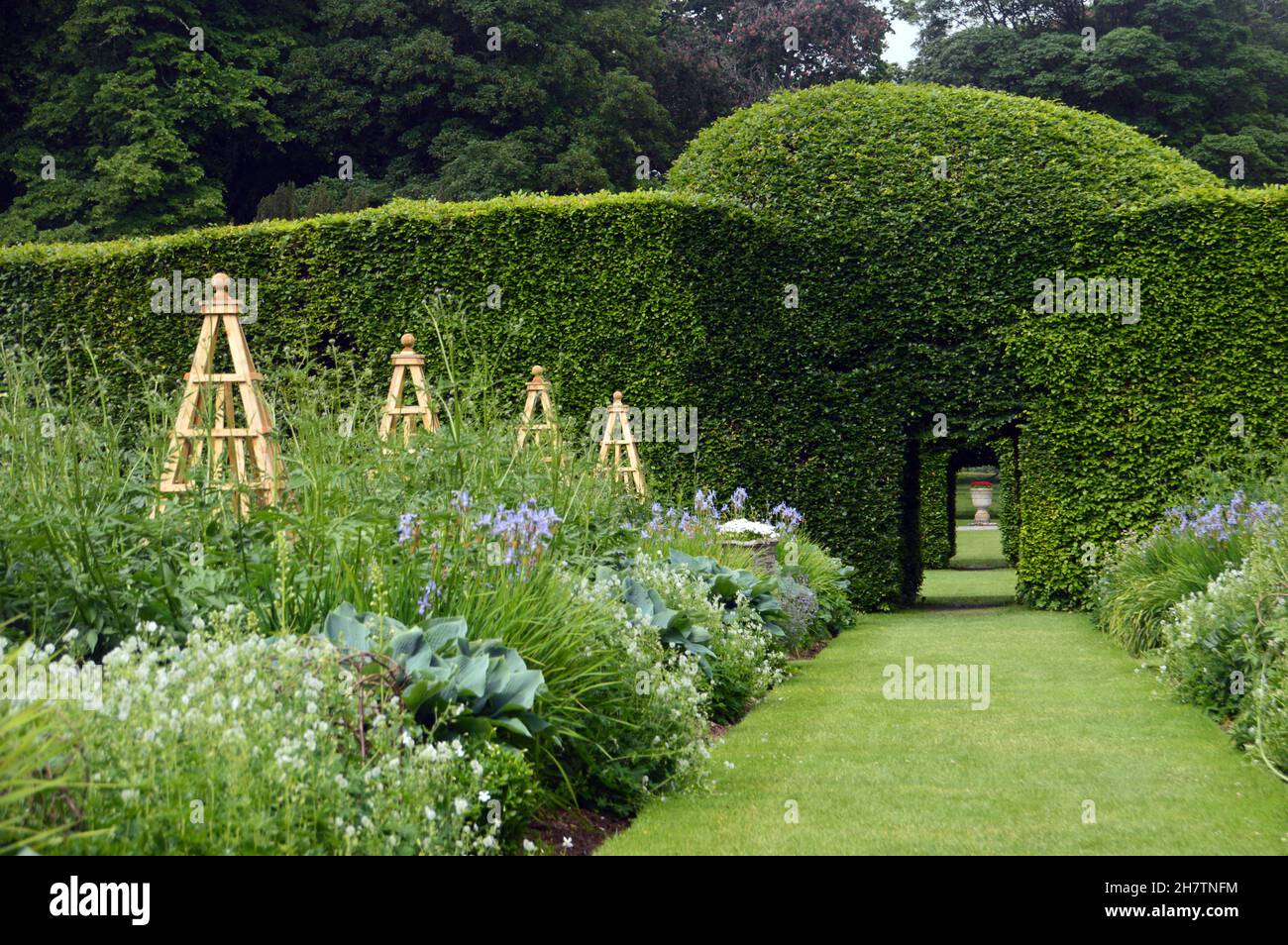 Torbogen in Beech Hedge in Levens Hall & Gardens, Kendal, Lake District National Park, Cumbria, England, Großbritannien Stockfoto