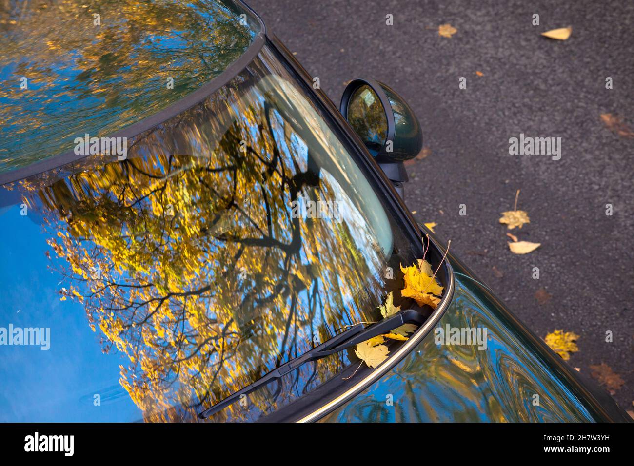 Ein Ahornbaum im Herbst spiegelt sich in der Windschutzscheibe eines Mini, Wetter an der Ruhr, Nordrhein-Westfalen, Deutschland. Ein Ahornbaum im Herbst spielt Stockfoto