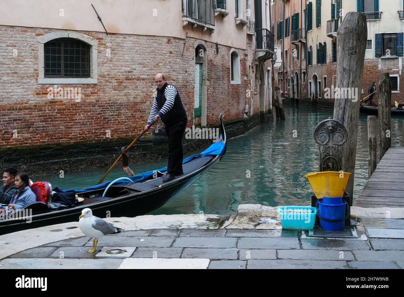 Eine Gondel transportiert zwei Touristen aus Asien durch einen kleinen Kanal in Venedig. Am Ufer des Kanals sitzt eine Möwe, an einem Brunnen Plastikschalen. Stockfoto