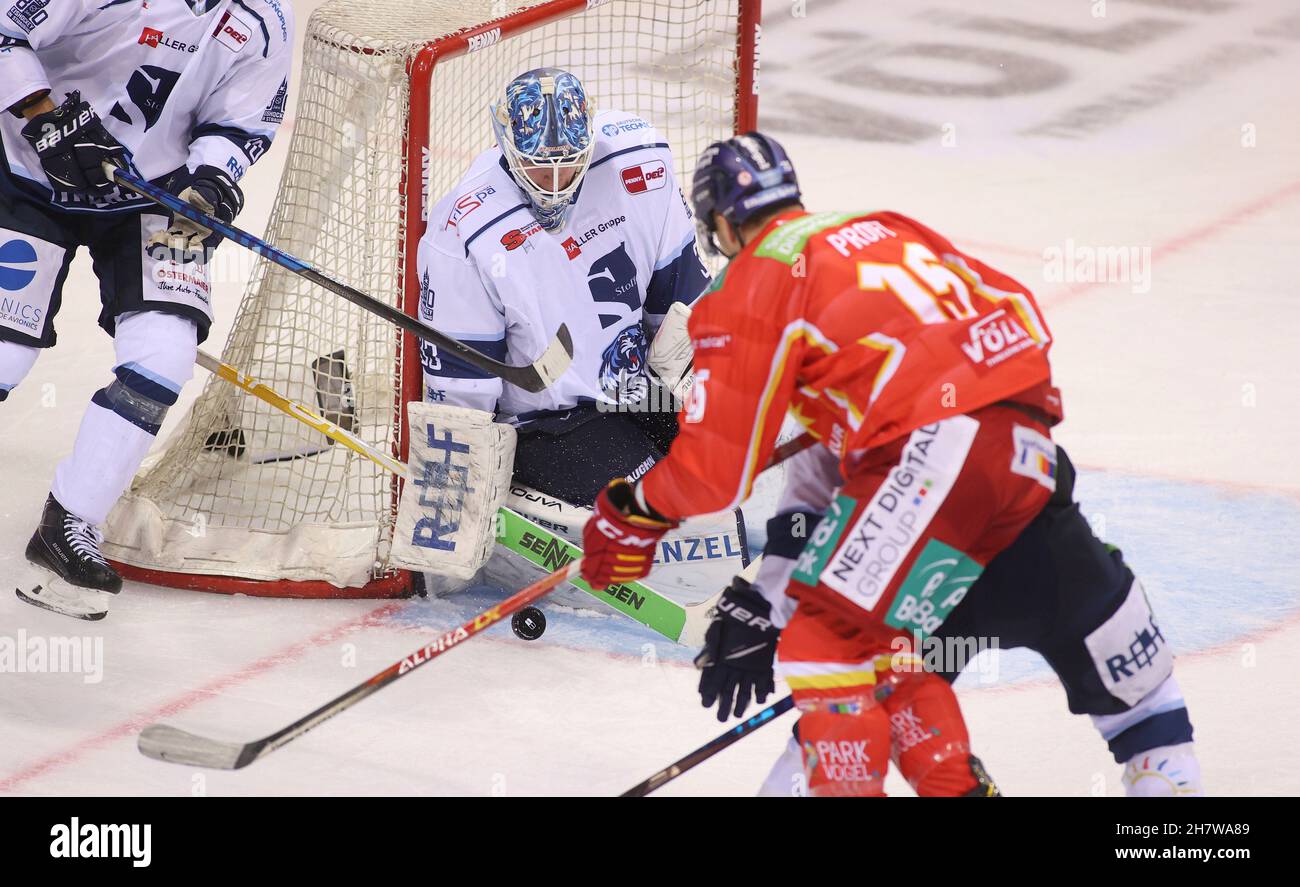 firo: Eishockey DEL Penny Bundesliga 2021/2022 Saison Dvºsseldorfer 21.11.2021 EG, Düsseldorfer EG, DEG - STRAUBING TIGER Straubing, Goalwart, Tomi Karhunen Stockfoto