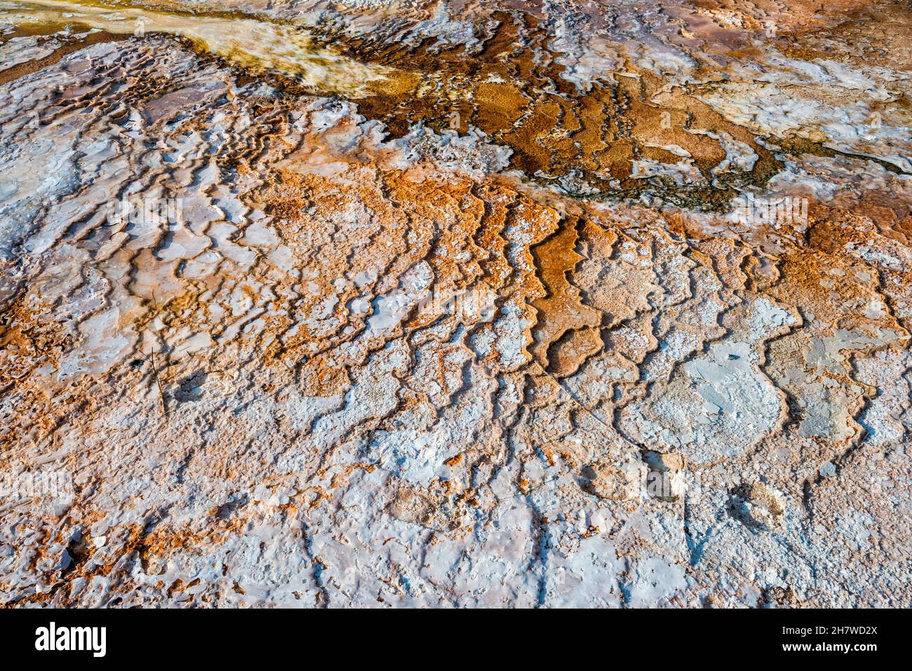 Prospect Terraces, Upper Terraces Drive, Mammoth Hot Springs Terraces, Yellowstone-Nationalpark, Wyoming, USA Stockfoto