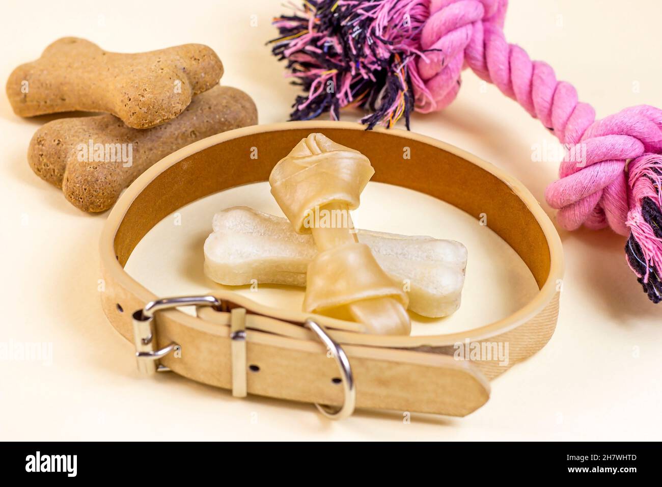 Braune Keksknochen für Hunde im beigen Kragen mit Spielzeug auf hellem Hintergrund. Hunde- und Welpenfutter, gesunde Leckereien. Stockfoto