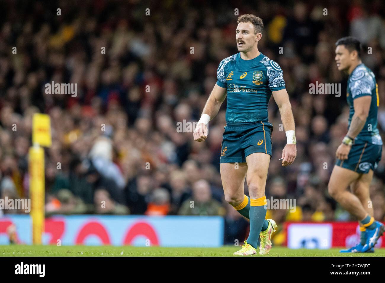 Nic White, der australische Scrum Half, geht über das Feld und ruft seinen Teamkollegen Anweisungen. Stockfoto