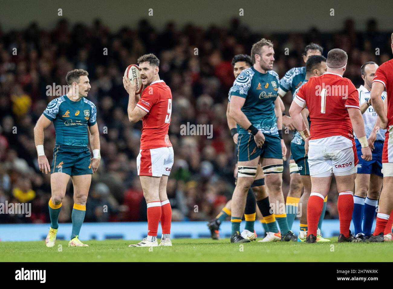 Tomos Williams, welsh Scrum Half, nutzt den Ball, um zu verbergen, was er seinen Teamkollegen sagt, bevor er das Scrum feeft. Stockfoto