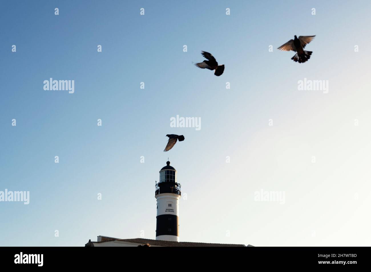 Ansicht von Tauben, die von Farol da Barra in Salvador, Bahia, Brasilien, gegen den blauen Himmel fliegen. Stockfoto Ansicht von Tauben, die von Farol da Barra in Salvador, Bahia, Brasilien, gegen den blauen Himmel fliegen. Stockfoto