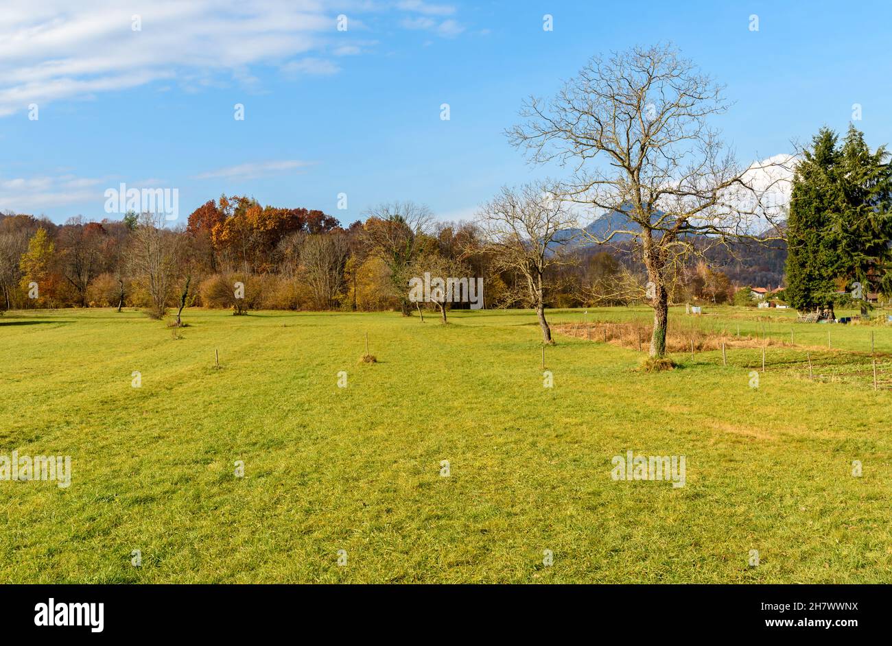 Ländliche Landschaft in der Herbstsaison des kleinen italienischen Dorfes Brinzio im Tal Rasa in der Provinz Varese, Lombardei, Italien Stockfoto