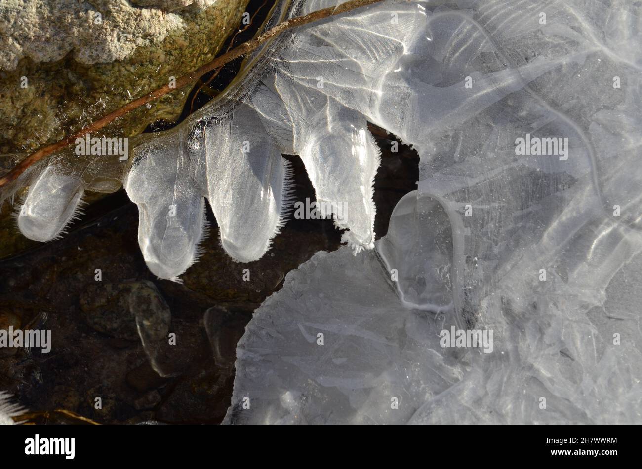 Gefrorene Blumen, Eisbildung auf einem wilden Fluss Stockfoto