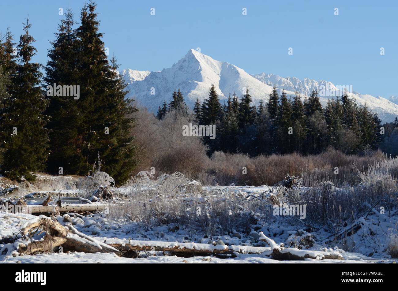 Kriván, Fluss Bela, Schnee, Slovensko, Podbanske Stockfoto