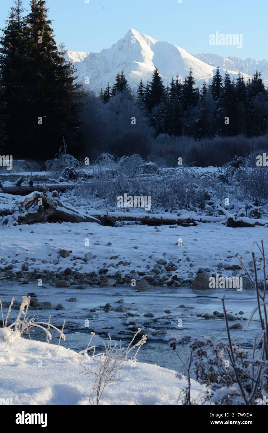Sehr kalter januartag, wilder Fluss Bela, Kriváň Stockfoto