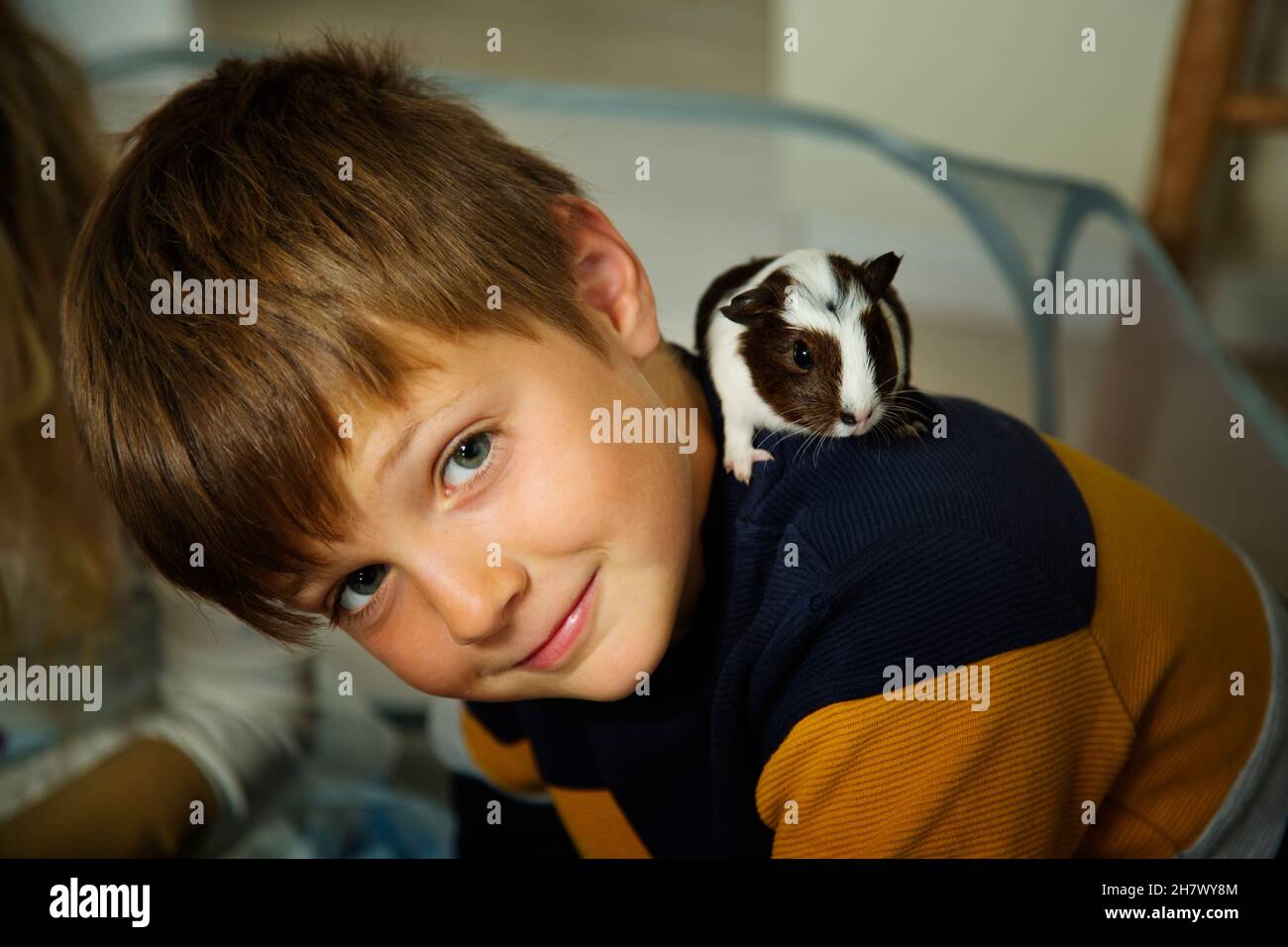 Ein süßer kleiner Junge im Alter von 7 bis 8 Jahren mit seinem Guinae-Schwein Stockfoto