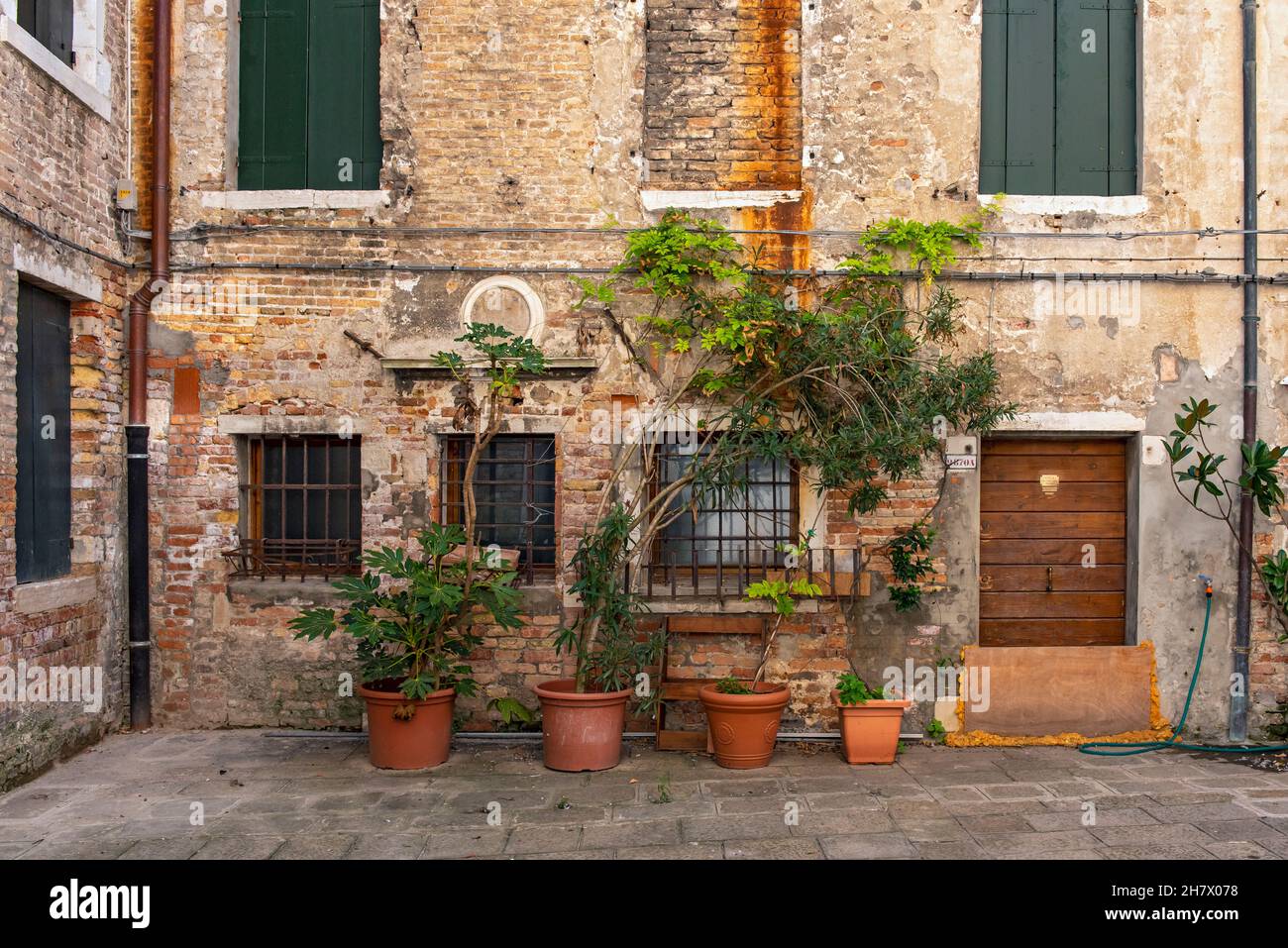 Alte Hausfassade mit Blumentöpfen, Venedig, Italien Stockfoto