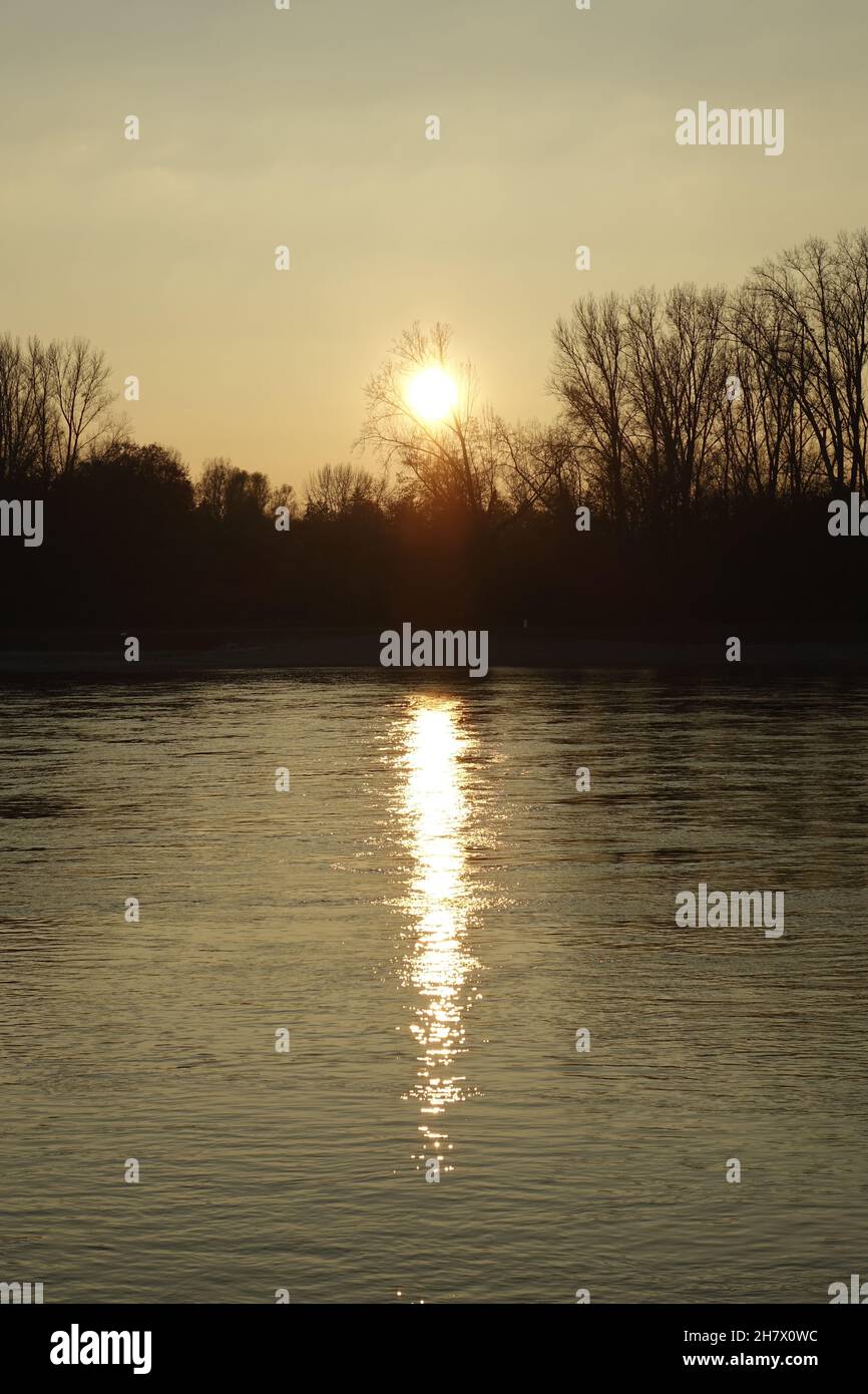Schöner Nachmittag Sonnenreflexion an einem klaren und kalten Herbsttag, natürlicher Schutzlebensraum Rußheimer Altrhein, Germersheim, Deutschland Stockfoto