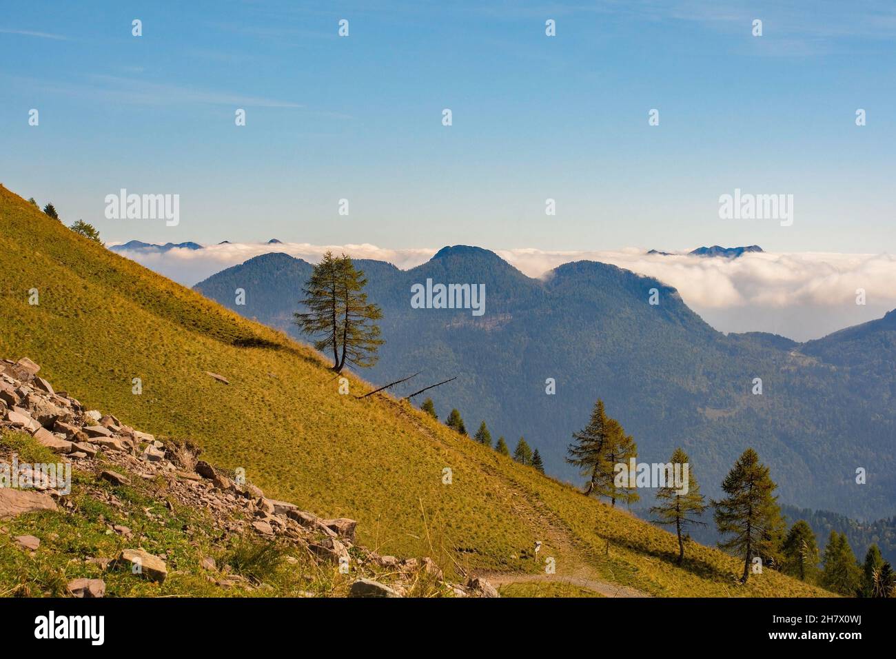 Die Hänge des Monte Morgenleit bei Sauris di Sopra, Provinz Udine, Friaul-Julisch Venetien, NE-Italien. Sauris Valley im Hintergrund. Ende September Stockfoto