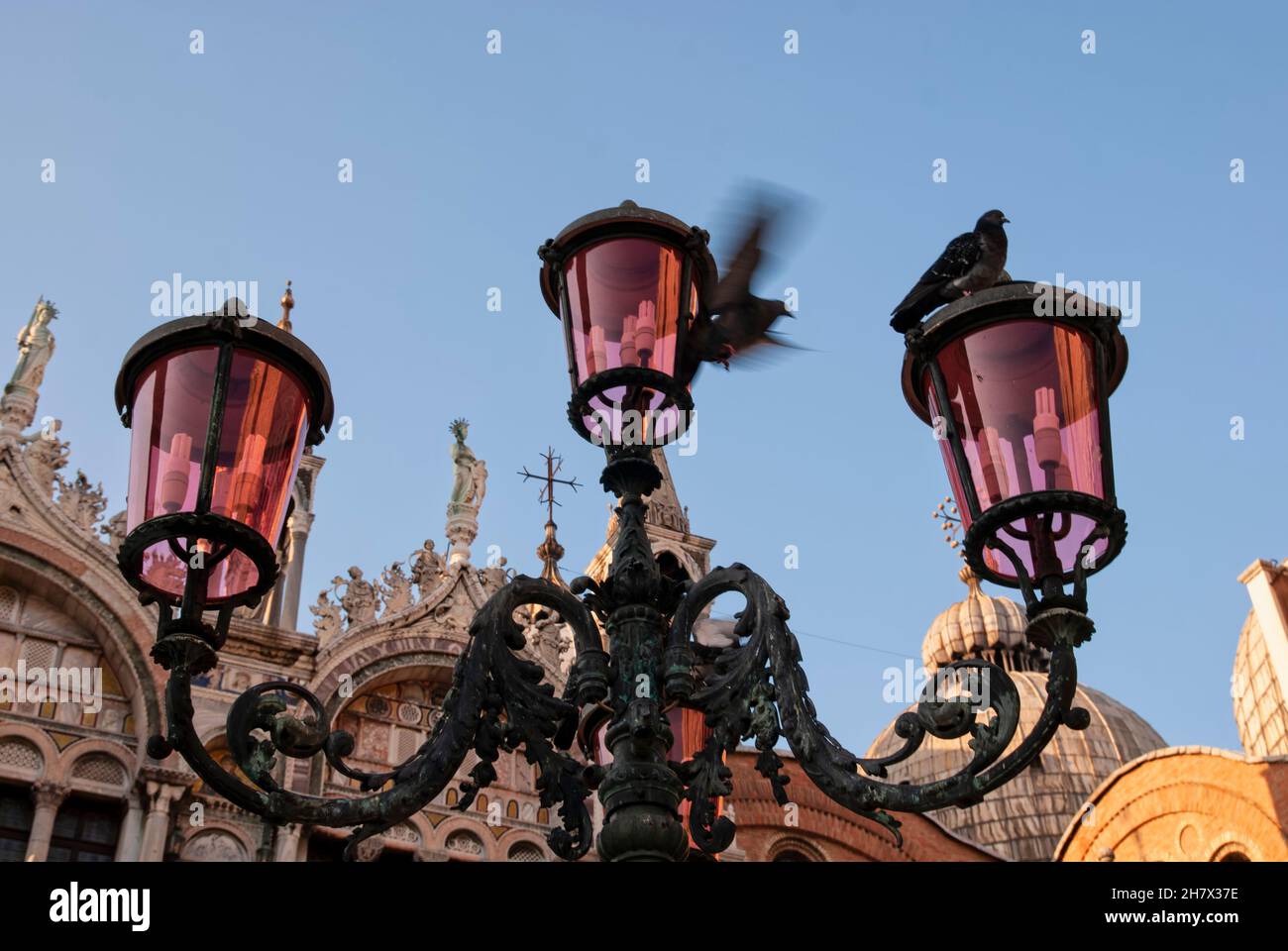 Bronzene Straßenlampe mit fliegenden Tauben und im Hintergrund eine der Fassaden des Markussekathedrals in Venedig, Italien. Reisen und Tourismus Stockfoto