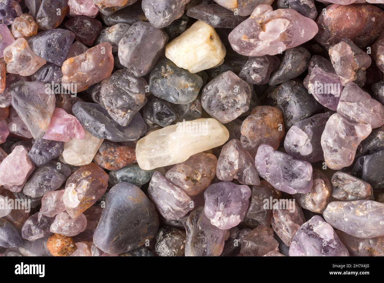 Dekorativer Kieselstein, polierte bunte Steine, Nahaufnahme flach liegend, Hintergrund Stockfoto