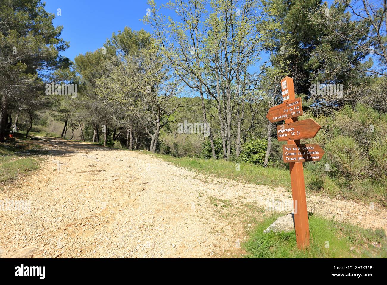 Foret du Parc communal de la Corniche, GR51, Grasse, Alpes Maritimes, Region sud Stockfoto