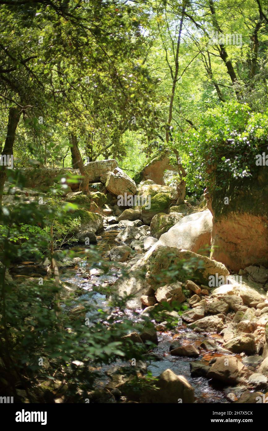 Dryed River, Alpes Martimes, 06, Region sud Stockfoto