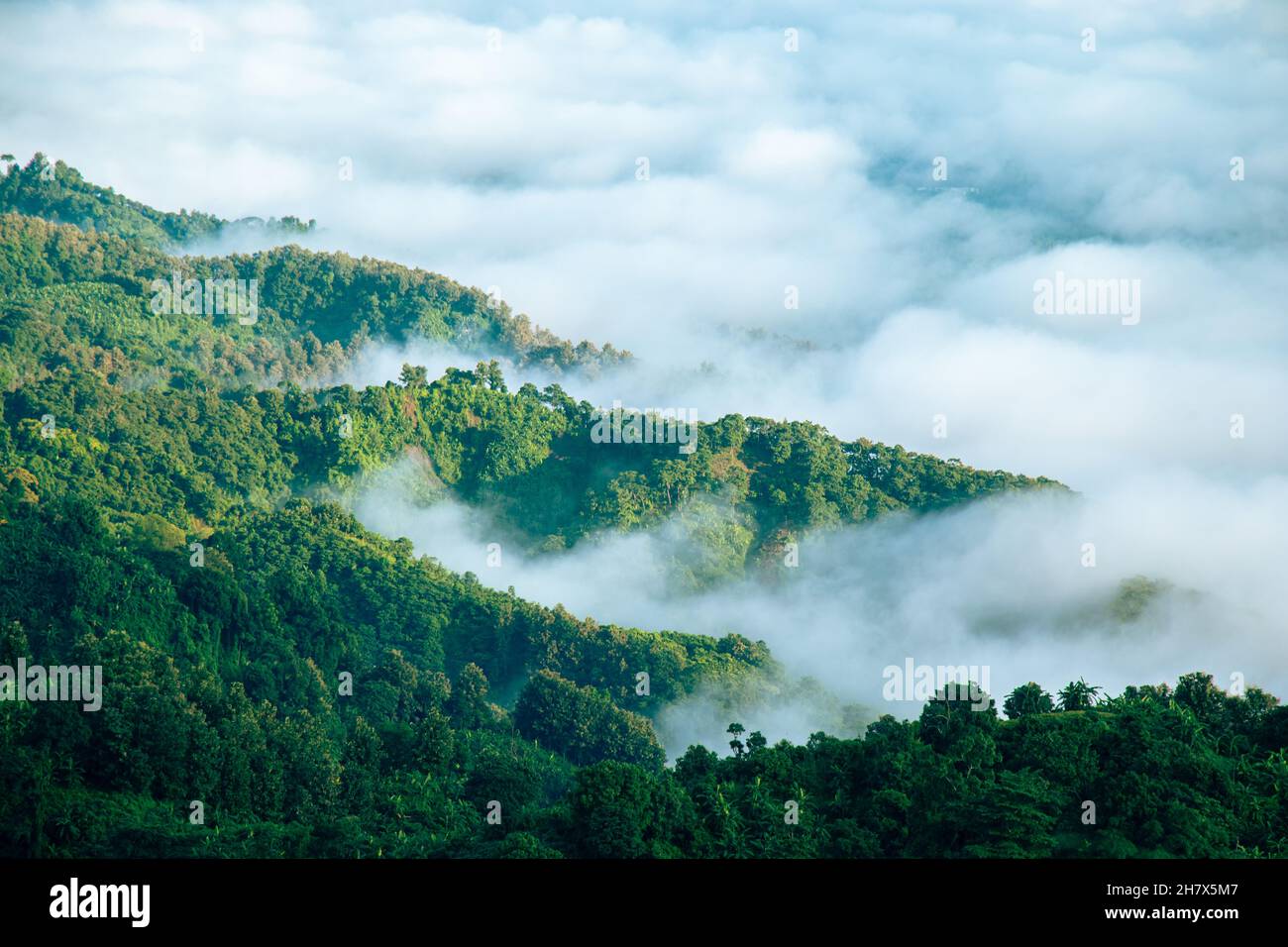 Bild des Bandarban-Hügeltraktes, Bangladesch. Natürliche Hügellandschaft mit Wolken. Stockfoto
