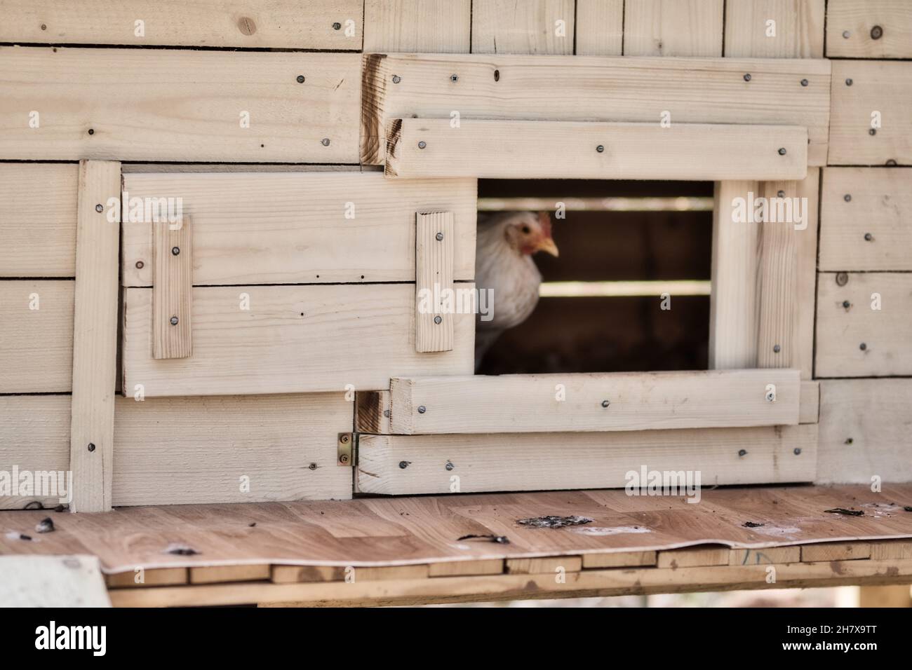 Hühnerhaus aus Holz mit Türen, Nahaufnahme Stockfoto