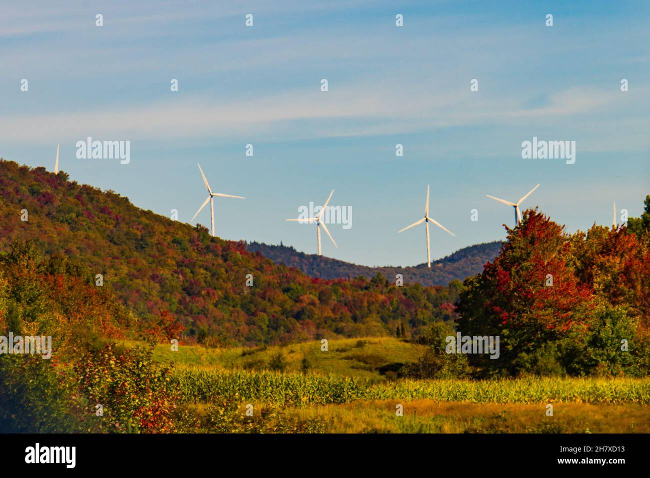 Windturbinen entlang der Bergkette über dem Wald in herbstlichen Farben und Felder mit goldenem Mais, bereit für die Ernte Stockfoto
