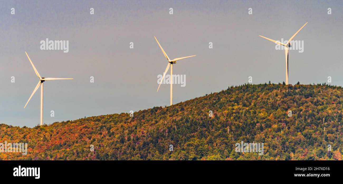 Windturbinen entlang der Bergkette über dem Wald in herbstlichen Farben und Felder mit goldenem Mais, bereit für die Ernte Stockfoto
