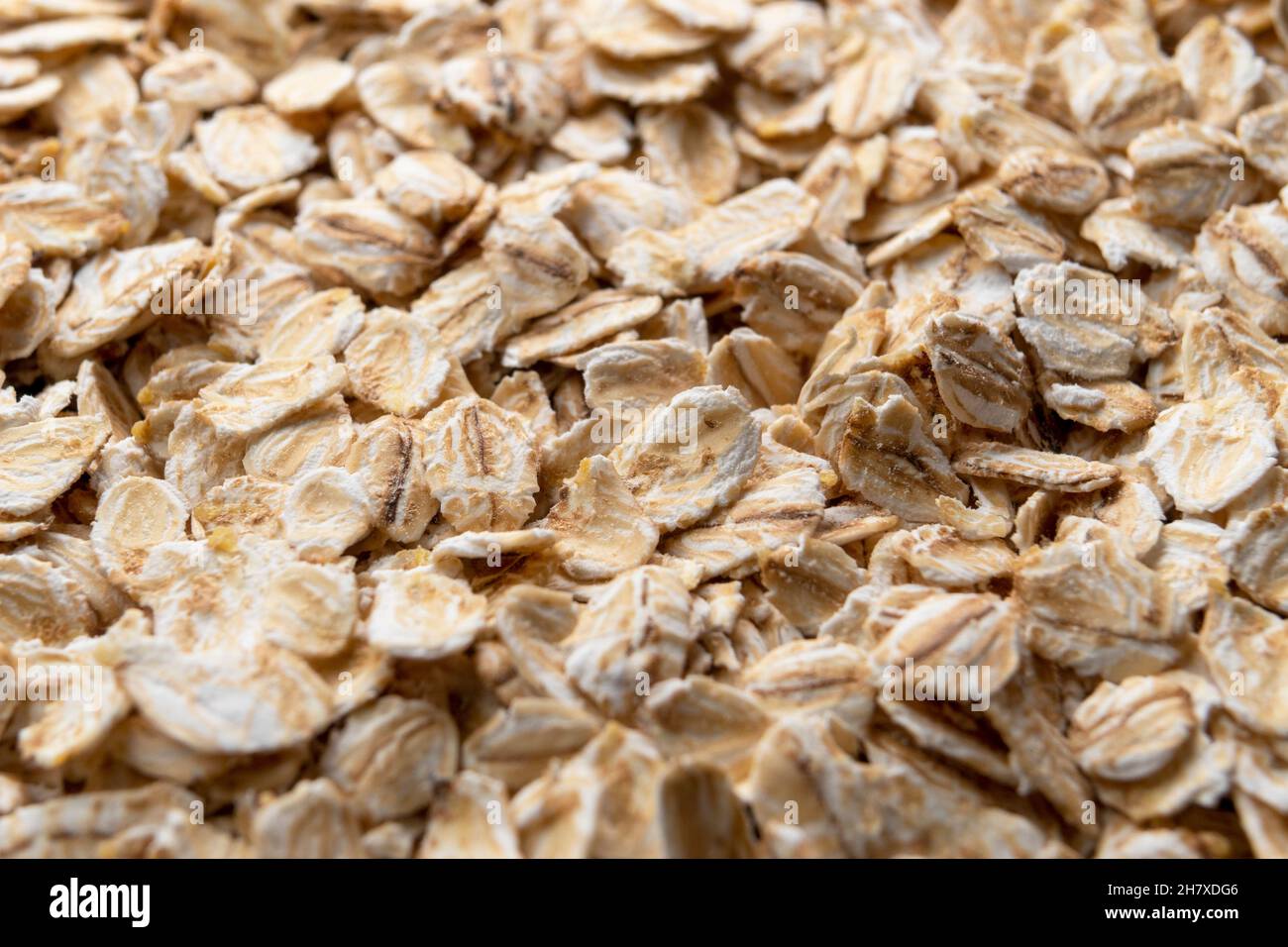 Haferflocken. Ungekochte Haferflocken. Gerollte ganze Körner. Makro. Getreide, gesunde Lebensmittel Stockfoto