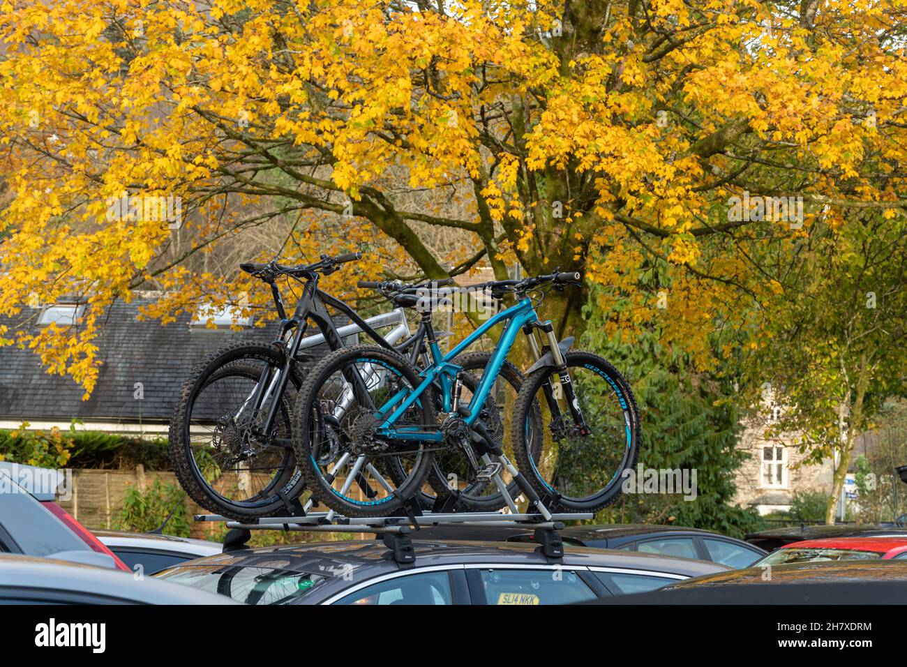 Fahrräder in einem Regal auf einem Autodach auf einem überfüllten Parkplatz in Ambleside im Lake District National Park im November mit Herbstfarben, Cumbria UK Stockfoto