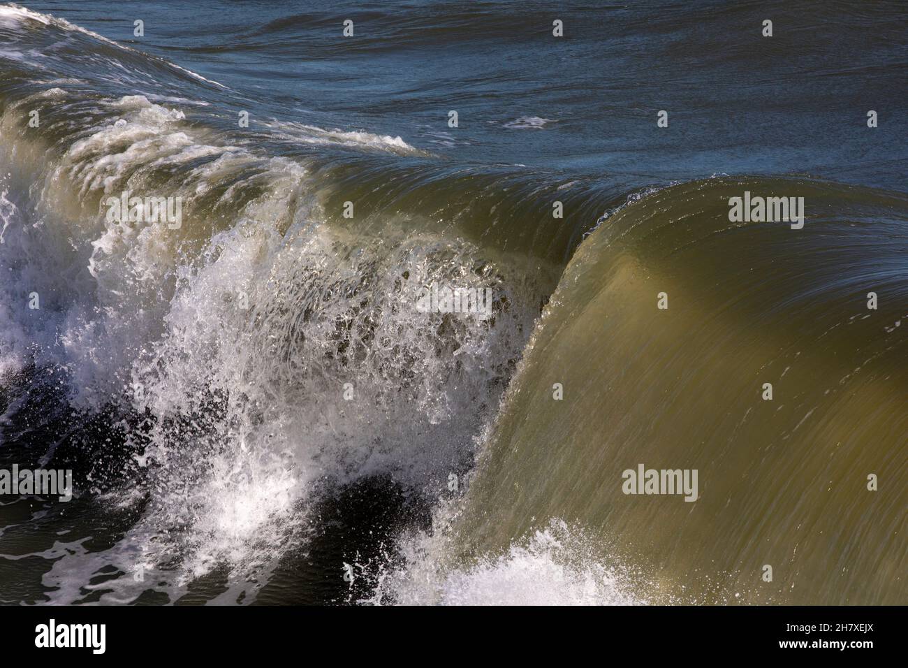 Eine einzelne Welle, die sich bei Flut und rauer Brandung an der Nordostküste Floridas zuschellt. Stockfoto