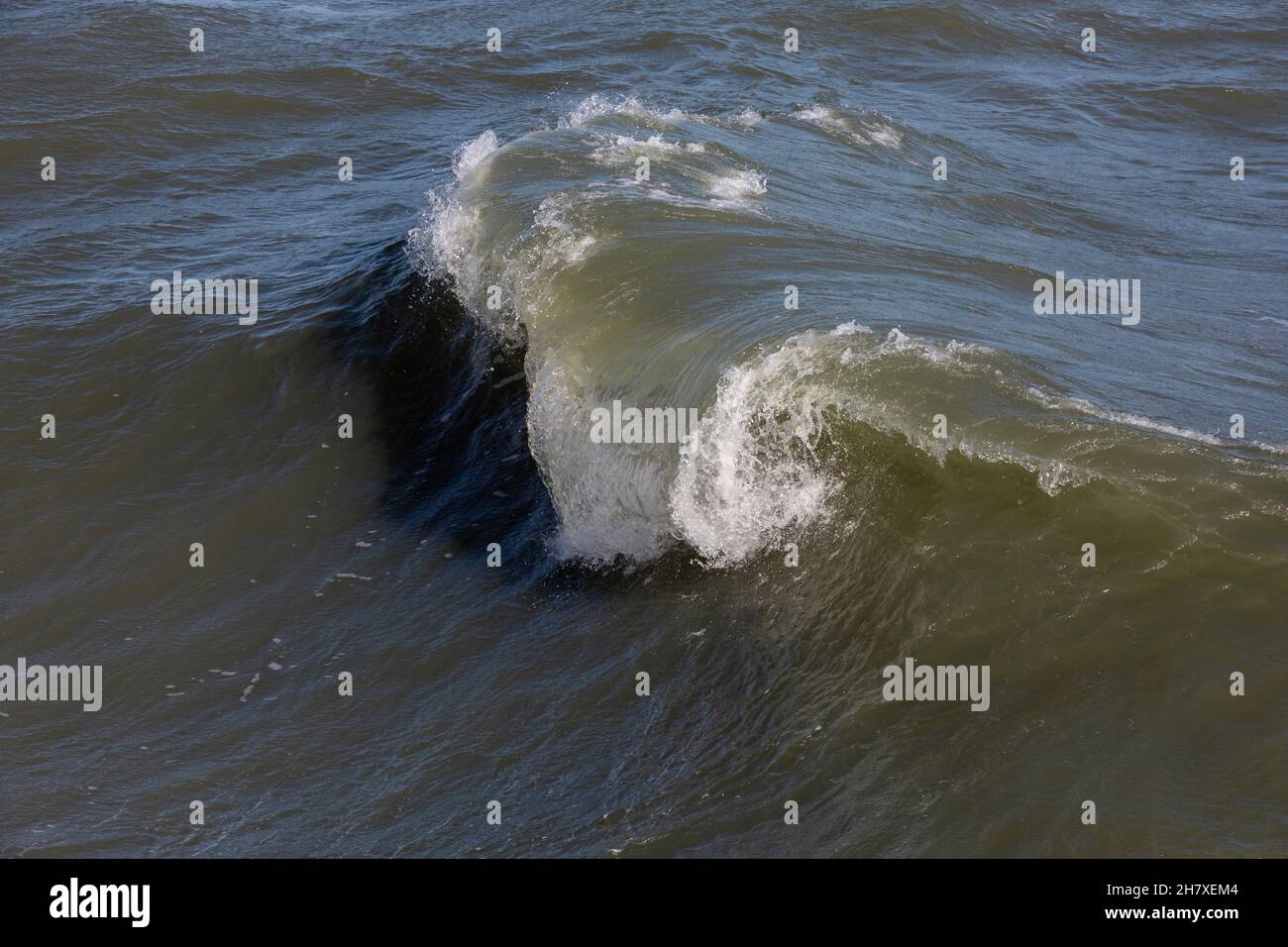 Eine einzelne Welle, die sich bei Flut und rauer Brandung an der Nordostküste Floridas zuschellt. Stockfoto