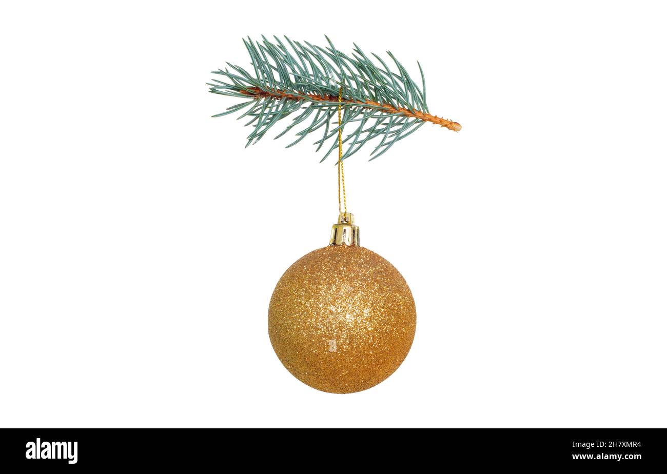 Leuchtend goldene Weihnachtskugel, die an einem Weihnachtsbaum-Zweig hängt Stockfoto