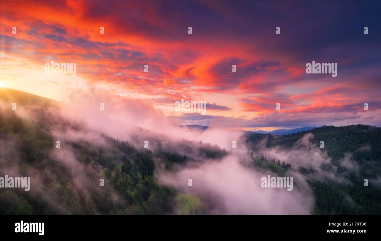 Berge in niedrigen Wolken bei Sonnenuntergang im Sommer. Luftaufnahme Stockfoto