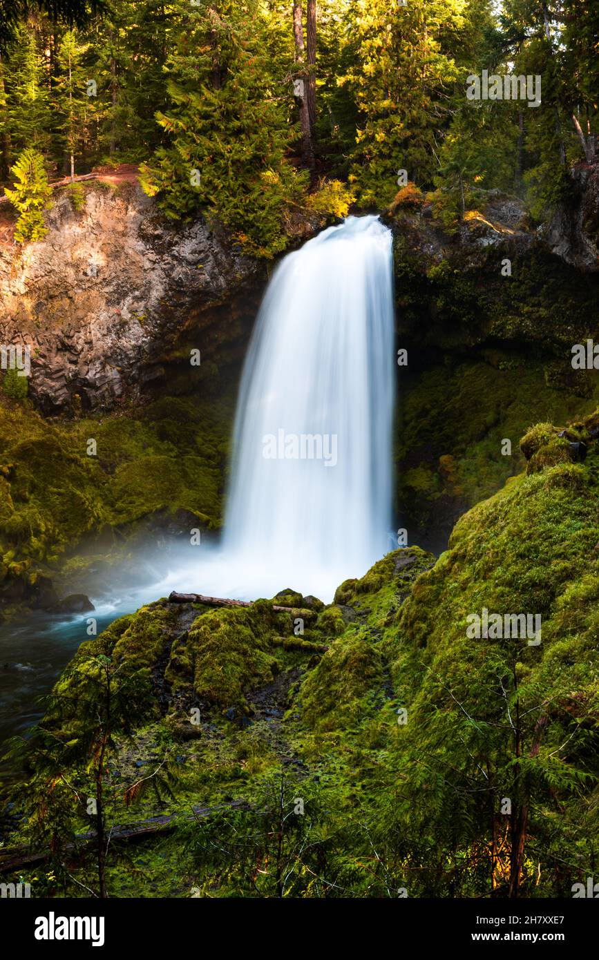 Sahalie fällt auf den McKenzie River im Zentrum von Oregon Stockfoto