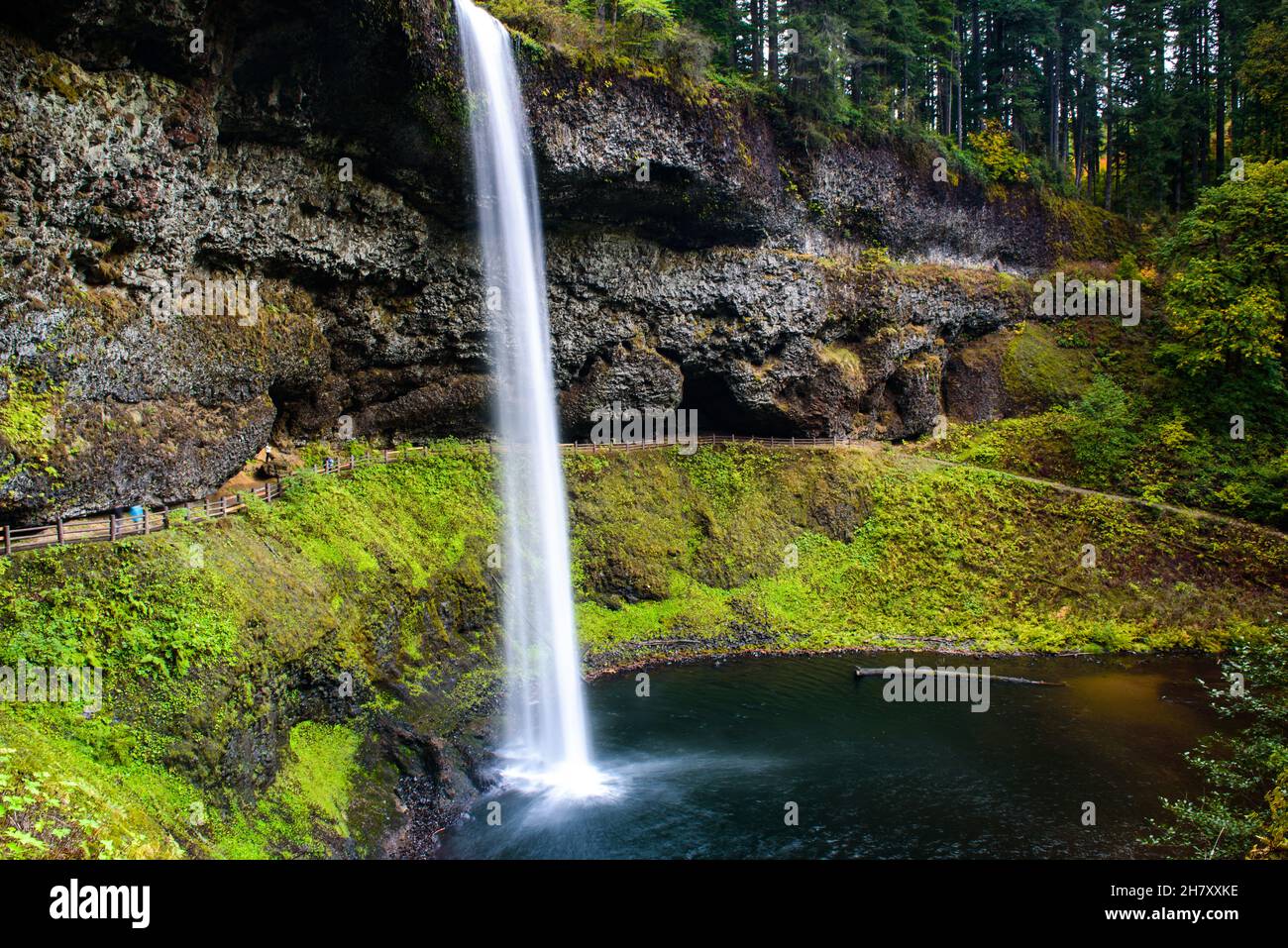 Bassin und Trail hinter den South Falls des Silver Falls State Park Stockfoto