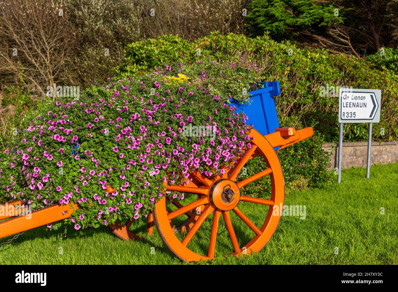 Wagen voller Blumen, Louisburgh, County Mayo, Irland Stockfoto
